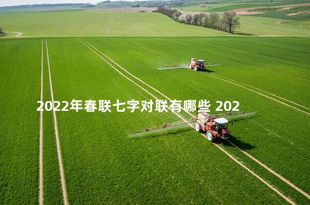 2022年春联七字对联有哪些 2022春联七字对联欧楷图片